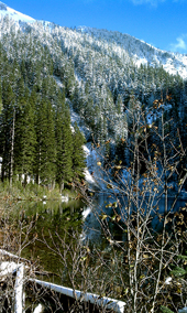 Trail to Annette Lake