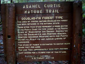 Asahel Curtis Nature Trail