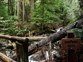 Asahel Curtis Nature Trail