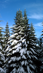 Rattlesnake Ledge and East Peak